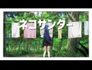 ネコサンダー【ブタサンダー】