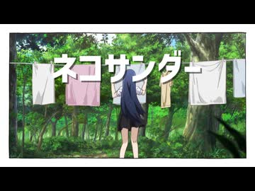 ネコサンダー【ブタサンダー】