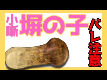 【ゆっくり人形劇】小噺『塀の子』