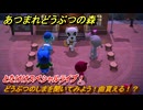 あつまれどうぶつの森　とたけけスペシャルライブ！どうぶつのしまを聞いてみよう！曲貰える！？　＃３８１　【あつ森】