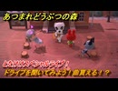 あつまれどうぶつの森　とたけけスペシャルライブ！ドライブを聞いてみよう！曲貰える！？　＃３８４　【あつ森】