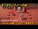 あつまれどうぶつの森　とたけけスペシャルライブ！ナポリタンを聞いてみよう！曲貰える！？　＃３８７　【あつ森】