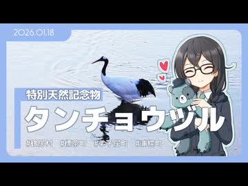 【花隈千冬】タンチョウヅルを撮りに行くよ！【鶴居村・弟子屈町ほか】