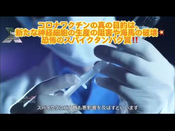アルツハイマー病の“本当の原因”が解ってきました　最新の理論では、ただの老化や遺伝ではなく、脳の“ある部位の萎縮”と“情報環境のストレス”が引き金になっているそうです。 キーワードは「海馬（かいば）」