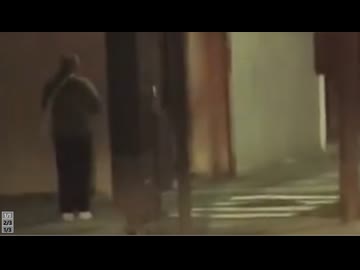 ホモと見る朝の4時に信号を守って晒される日本人