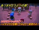 あつまれどうぶつの森　とたけけスペシャルライブ！ハイサイけけを聞いてみよう！曲貰える！？　＃３９１　【あつ森】