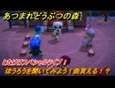あつまれどうぶつの森　とたけけスペシャルライブ！ほうろうを聞いてみよう！曲貰える！？　＃３９６　【あつ森】