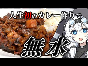 人生初のカレー作りなのに無水カレーに挑戦したら宇宙が生まれた