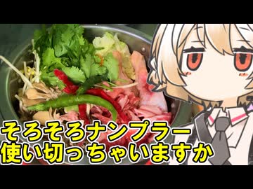ナンプラー鍋【ナースロボ】