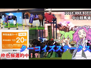 中山競馬場 女子限定ハンデ戦 ターコイズステークス 枠色抽選的中！？