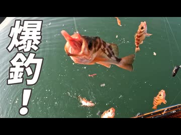 【VOICEROIDフィッシング】楽しいカヤックフィッシング #34 メバル!!!