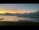 冬を耐える花/知声　てとよ