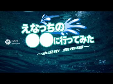 えなっちの◯◯に行ってみた.Sora2