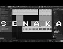 SENAKA ft.束音ロゼ