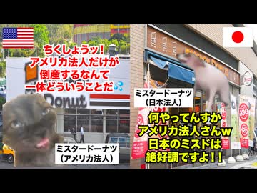 【ミスタードーナツ】アメリカでは消滅したのに日本だけ国民的ブランドになったドーナツチェーン店 #猫マニ #猫ミーム