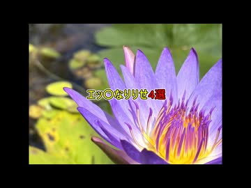 エッ〇なりりせ4選