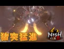 純粋な質量のあるやつの突進攻撃って強いよね【仁王2】【NIOH2】【実況】#13