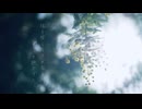 fuyu「傷彩景 feat.初音ミク」