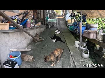 坂道の素敵なたまり場