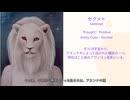 WSA Race Video-000010：セクメト種