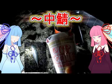 「冬に外で食うカップ麺美味しい」ゆるく楽しく気軽に釣行！part12　サーフでぶっこみサビキ「ボイロフィッシング」