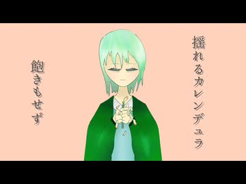 CALENDULA/知声