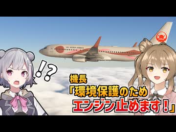 全然サステナブルじゃない航空会社です【Microsoft Flight Simulator 2024】