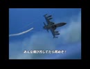 【ACE COMBAT 5】ブービー生活　1機【前編】