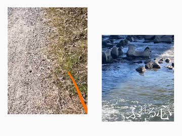 ふれる心 足立レイ