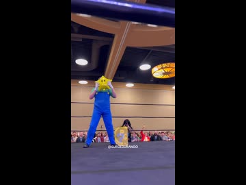 ホモと見るレスリングの試合中にスターで無敵になるルイージ