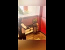やじゅまんと見るぬんちゃく