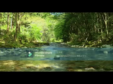 誰も信じなかった真実　感染症は存在しない！