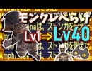 【⚔轟くFF11】モンクのレベらげLv1→Lv40【復帰プレイ#297】