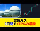天然ガス先物価格が過去3日間で+75%の暴騰。北極寒波による暖房需要増加が要因か。