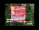 再就職を先延ばしにして原付でちょっくら日本一周してくる【59日目】