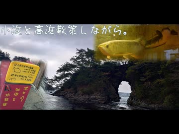 小浜と高浜散策しながら。