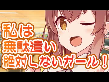 理性的に買い物すれば、無駄遣いなんてありえない！【ソフトウェアトーク劇場】