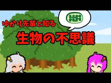 【VOICEROID解説】ゆかり先輩と知る生物の不思議【一次、二次共生】