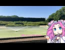 【動画供養中 - ずんだもん】あまりに熱い公園の噴水を愛でる