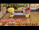 あつまれどうぶつの森　リゾートホテル開発　VIPルームを作る　氷の部屋　ナディア招待　＃１６４　【あつ森Switch2エディション】