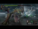 【MHP2G】鎧を捨てて双剣のみでティガレックスと戦ってみた【批難上等】