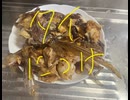 鯛　タイ　たい　カマ　煮付け　料理　してみた