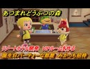あつまれどうぶつの森　リゾートホテル開発　VIPルームを作る　誕生日パーティーな部屋　みかっち招待　＃１７３　【あつ森Switch2エディション】