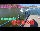 蓮花寺公園(静岡県藤枝市)