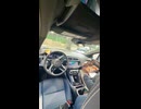 ホモと見る自動運転車を運転するオウム