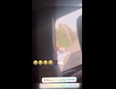 やじゅまんと見る凄い車