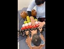 やじゅまんと見る医療