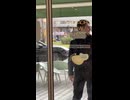 やじゅまんと見る謎