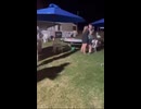 やじゅまんと見る意地