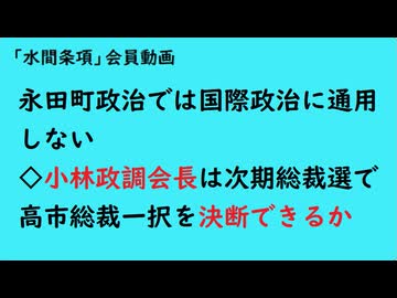 第1066回『永田町政治では国際政治に通用しない◇小林政調会長は次期総裁選で高市総裁一択を決断できるか』　【「水間条項」会員動画】